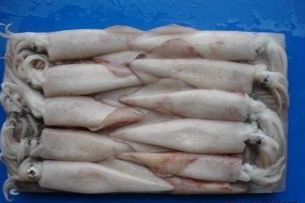 冷冻鱿鱼